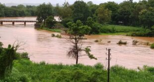 ಕಣಕುಂಬಿ ಅರಣ್ಯ: 11.5 ಸೆಂ.ಮೀ ಮಳೆ