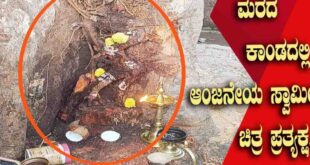 ಬನಹಟ್ಟಿಯಲ್ಲಿ ವಿಚಿತ್ರ ಘಟನೆ… ಅರಳಿ ಮರ ಕಡಿಯಲು ಹೋದವರಿಗೆ ಆಂಜನೇಯನ ದರ್ಶನ!