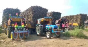 ಪ್ರತಿ ಟನ್ ಕಬ್ಬಿಗೆ​​ ಹೆಚ್ಚುವರಿ 50 ರೂ. ಕೊಡಲು ಸಾಧ್ಯವಿಲ್ಲ: ಸಕ್ಕರೆ ಮಿಲ್ಸ್ ಸಂಘಟನೆ ಅಧ್ಯಕ್ಷ