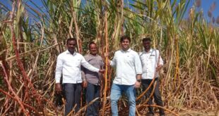 ಒಂದು ಎಕರೆಗೆ 180 ಟನ್ ಕಬ್ಬು ಇಳುವರಿ,ಮಾಜಿ ಶಾಸಕ ಶಾಮ ಘಾಟಕೆಯವರ ಪ್ರಗತಿಪರ ಕೃಷಿ