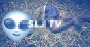 ಟ್ರ್ಯಾಕ್ಟರ್‌ಗೆ ಸಿಲುಕಿ ರೈತ ಸಾವು – ಗ್ರಾಮದಲ್ಲಿ ಶೋಕ