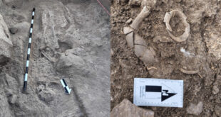 ಬಳ್ಳಾರಿಯಲ್ಲಿ ಉತ್ಖನನ ವೇಳೆ 3,000 ವರ್ಷಗಳಷ್ಟು ಹಳೆಯ ಮಾನವನ ಪಳೆಯುಳಿಕೆ ಪತ್ತೆ