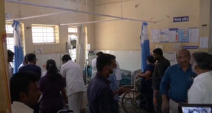 ನಮಾಜ್ ಮಾಡುವ ವೇಳೆ ಹೆಜ್ಜೇನು ದಾಳಿ – ಐವರು ಗಂಭೀರ