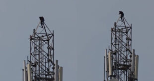 ಬಾಟಲ್‌ ಕೊಟ್ಟರೆ ಕೆಳಗೆ ಬರ್ತಿನಿ  – ಟವರ್ ಹತ್ತಿ ಕುಡುಕನ ಹುಚ್ಚಾಟ