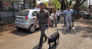 ಜಿಲ್ಲಾ ನ್ಯಾಯಾಲಯಕ್ಕೆ ಬಾಂಬ್ ಬೆದರಿಕೆ ಶ್ವಾನ ದಳದ ತಪಾಸಣೆ