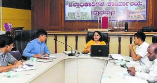 ಆಲಿಕಲ್ಲು ಮಳೆ: ಸಮೀಕ್ಷೆ ನಡೆಸುವಂತೆ ಜಿಲ್ಲಾಧಿಕಾರಿ ಸ್ನೇಹಲ್ ಸೂಚನೆ