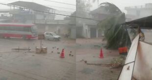 ಮೂಡಿಗೆರೆ, ಚಿಕ್ಕಮಗಳೂರಲ್ಲಿ ಭಾರೀ ಗಾಳಿ, ಮಳೆ – ವಾಹನ ಸವಾರರ ಪರದಾಟ