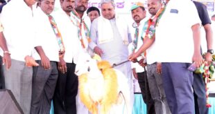 ಬಾಗಲಕೋಟೆ ರಣಕಣದಲ್ಲಿ ‘ಕುರಿಗಾಯಿ’ ಕಲಿ: ಸಿದ್ದರಾಮಯ್ಯಗೆ ‘ಟಗರು’ ಗಿಫ್ಟ್ ನೀಡಿದ ಅಭಿಮಾನಿಗಳು!